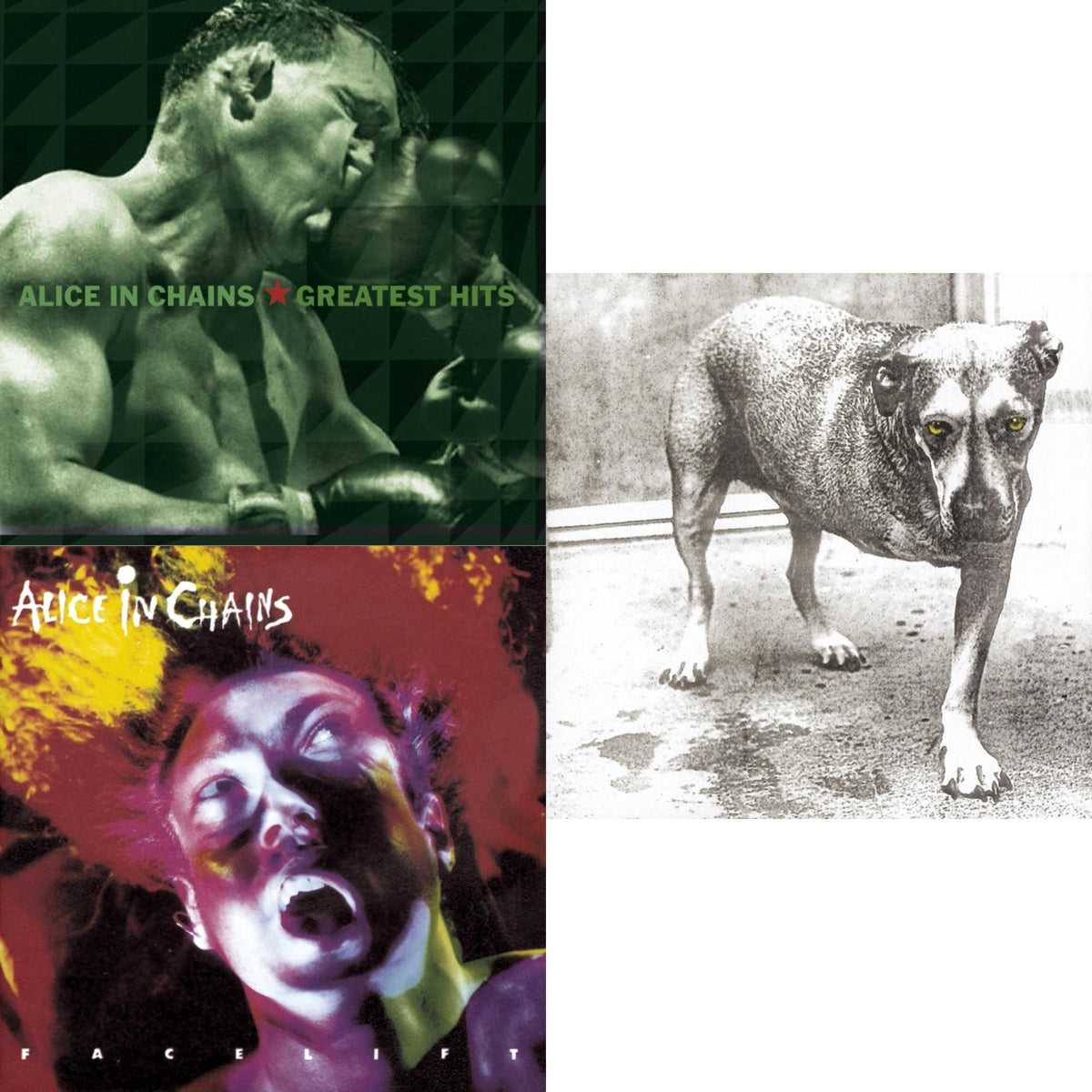 Greatest Hits & Facelift & Alice In Chains