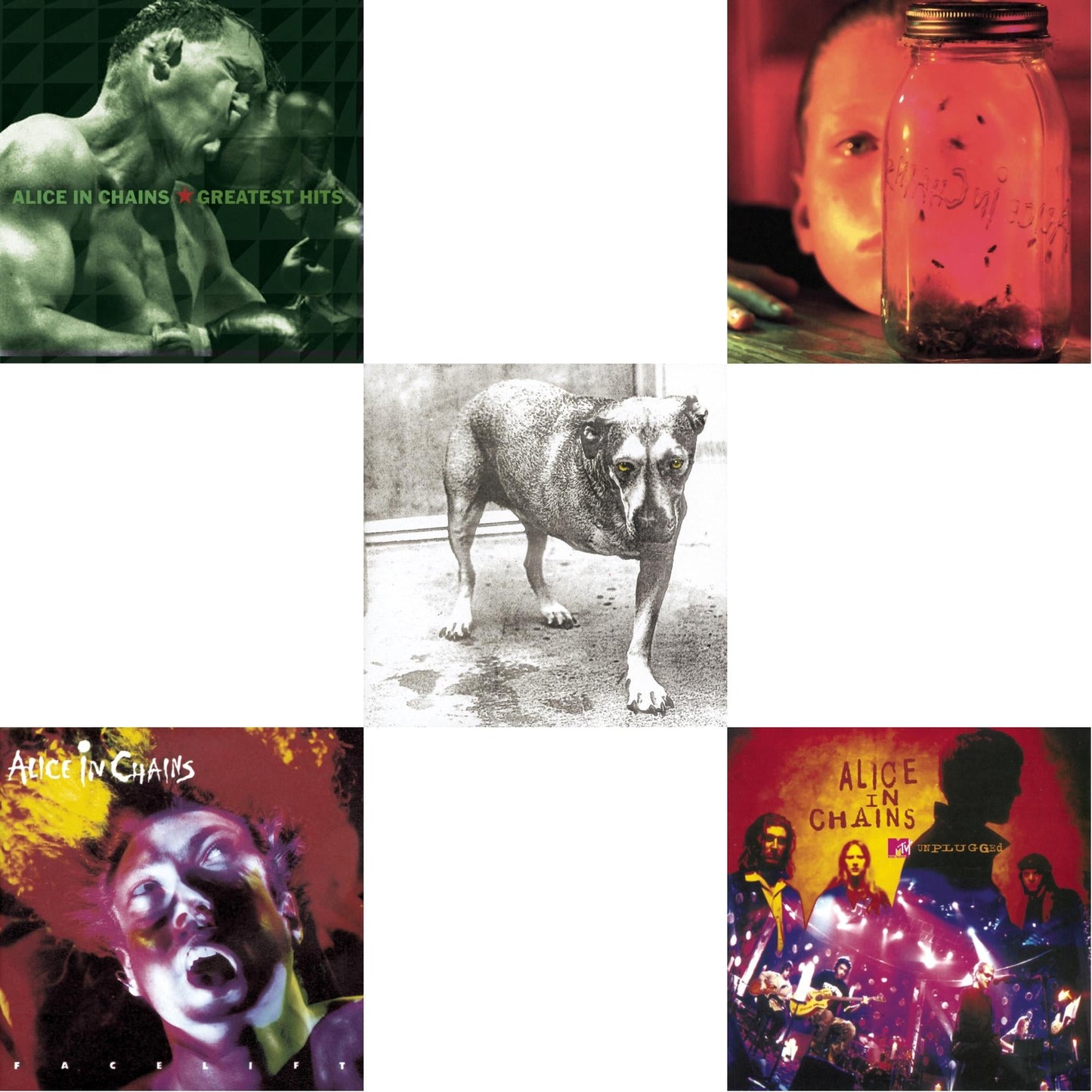 Jar Of Flies & Greatest Hits & Unplugged & Facelift & Alice In Chains