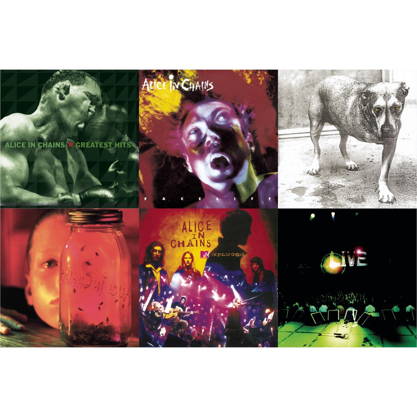 Jar Of Flies & Greatest Hits & Unplugged & Live & Facelift & Alice In Chains