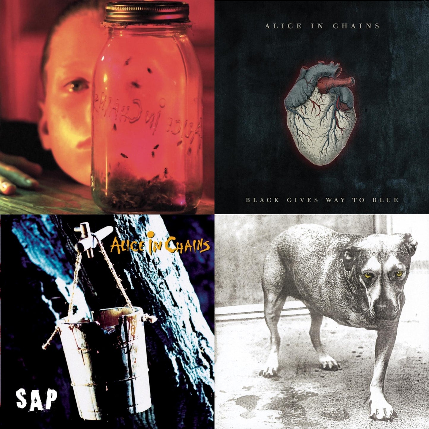 Jar Of Flies & Black Gives Way To Blue & Sap & Alice In Chains