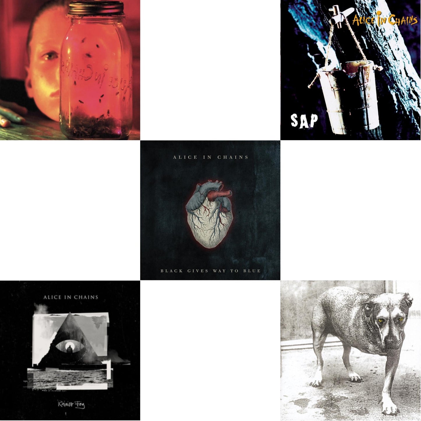 Jar Of Flies & Rainier Fog & Black Gives Way To Blue & Sap & Alice In Chains