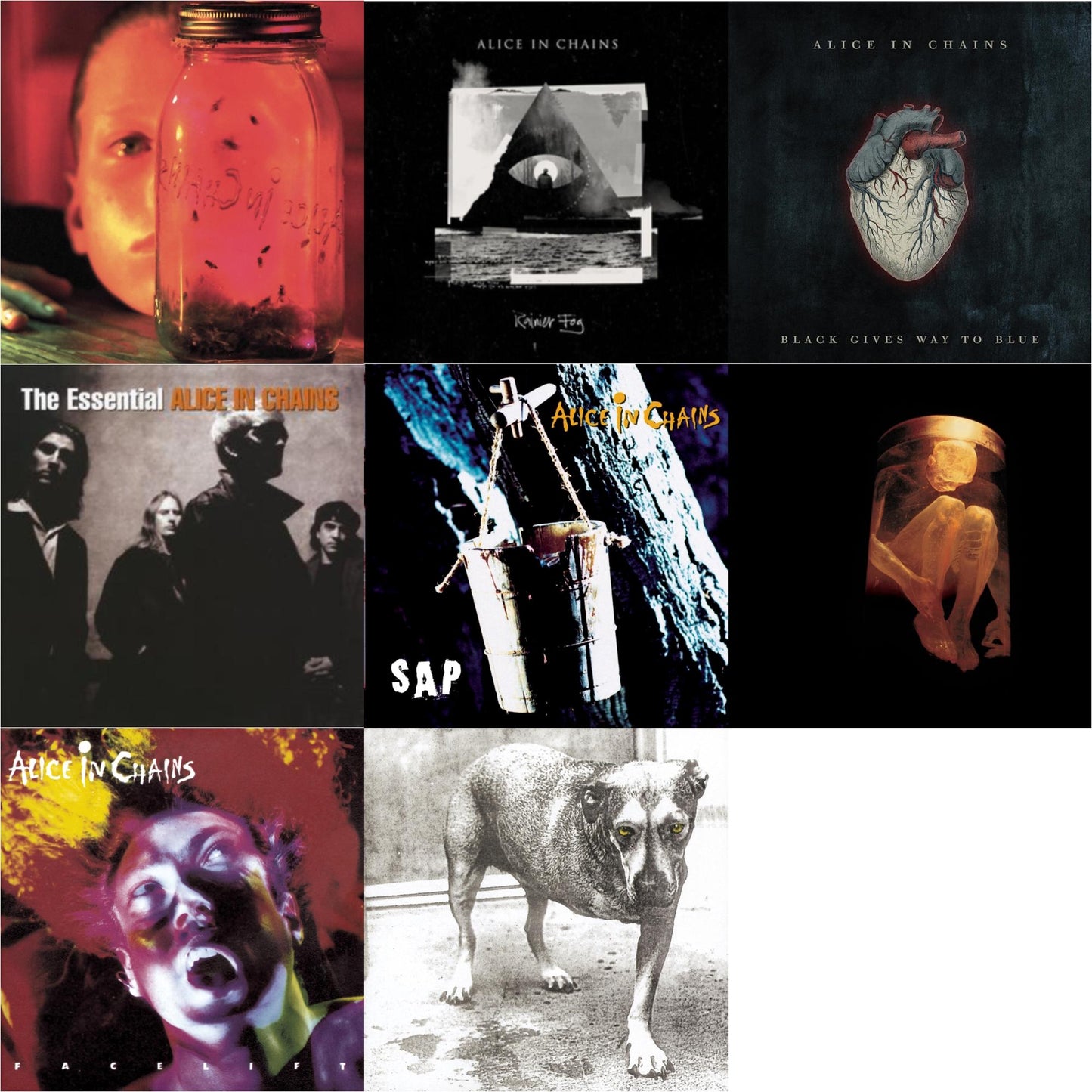 Jar Of Flies & Rainier Fog & Black Gives Way To Blue & Essential Alice In Chains & Sap & Nothing Safe: Best Of The Box & Facelift & Alice In Chains