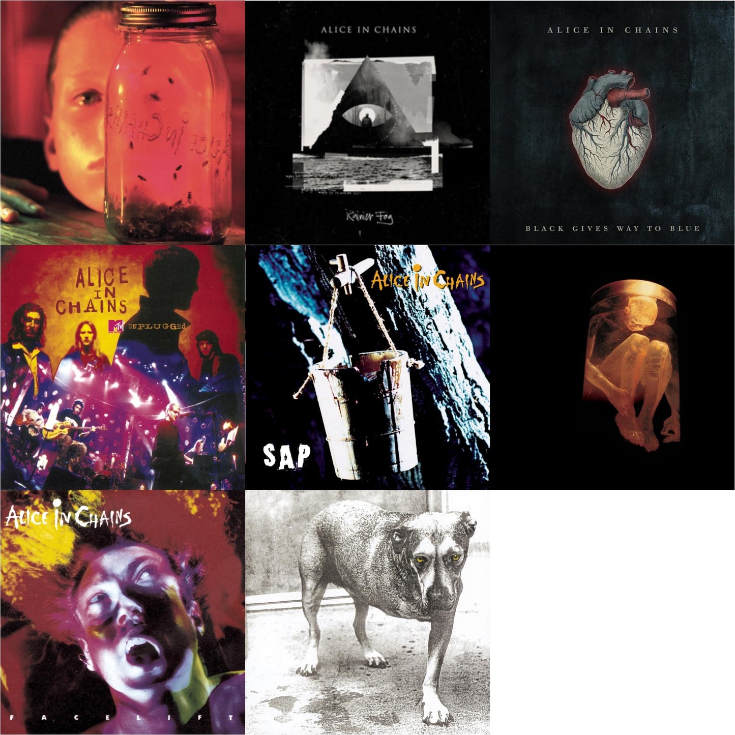 Jar Of Flies & Rainier Fog & Black Gives Way To Blue & Unplugged & Sap & Nothing Safe: Best Of The Box & Facelift & Alice In Chains