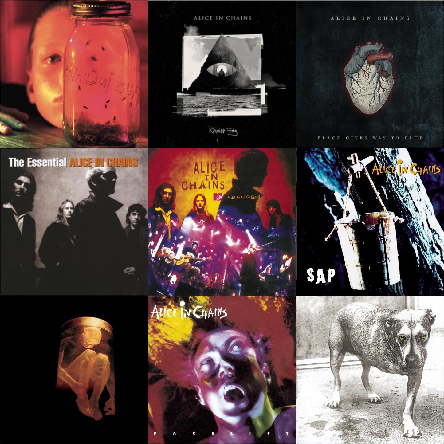 Jar Of Flies & Rainier Fog & Black Gives Way To Blue & Essential Alice In Chains & Unplugged & Sap & Nothing Safe: Best Of The Box & Facelift & Alice In Chains