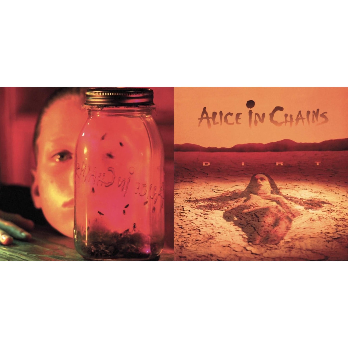 Dirt & Jar Of Flies