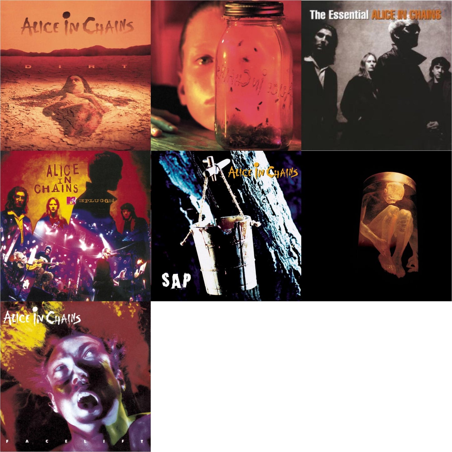 Dirt & Jar Of Flies & Essential Alice In Chains & Unplugged & Sap & Nothing Safe: Best Of The Box & Facelift