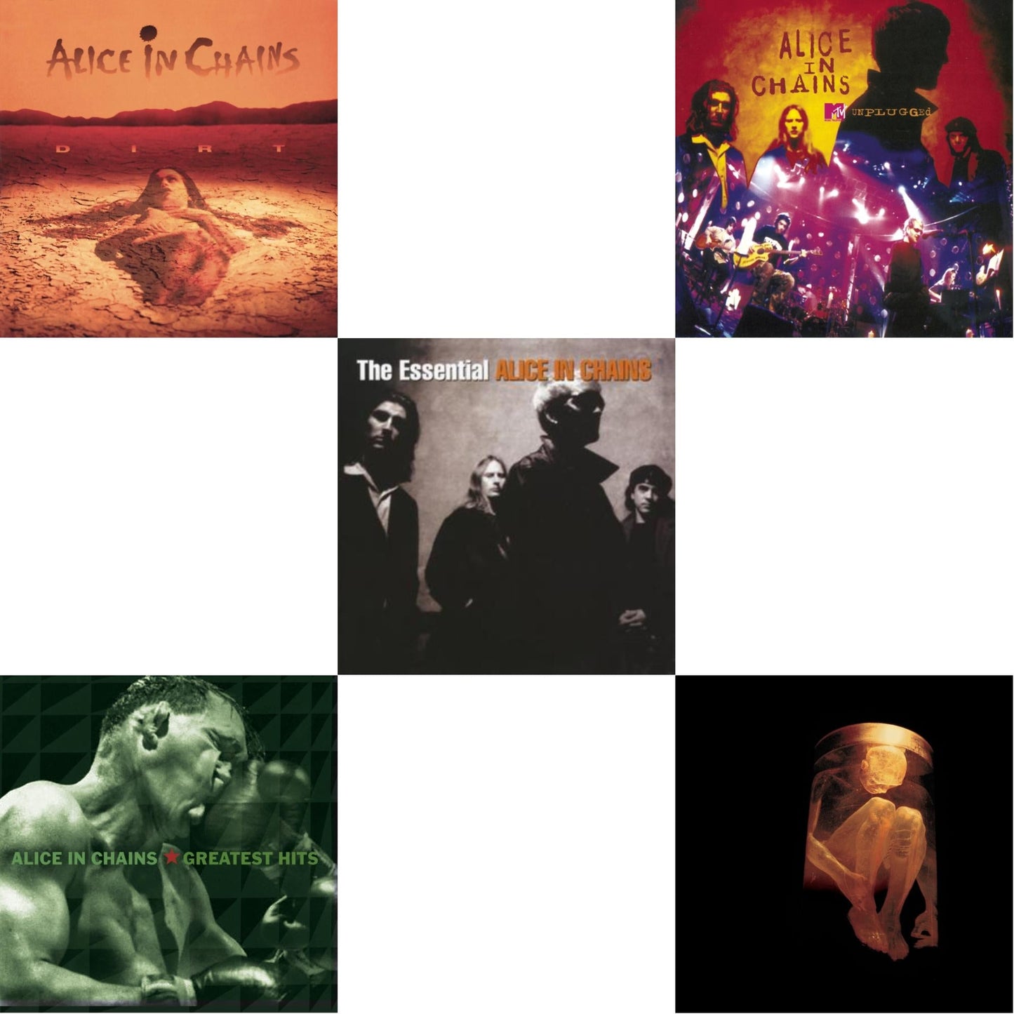 Dirt & Greatest Hits & Essential Alice In Chains & Unplugged & Nothing Safe: Best Of The Box