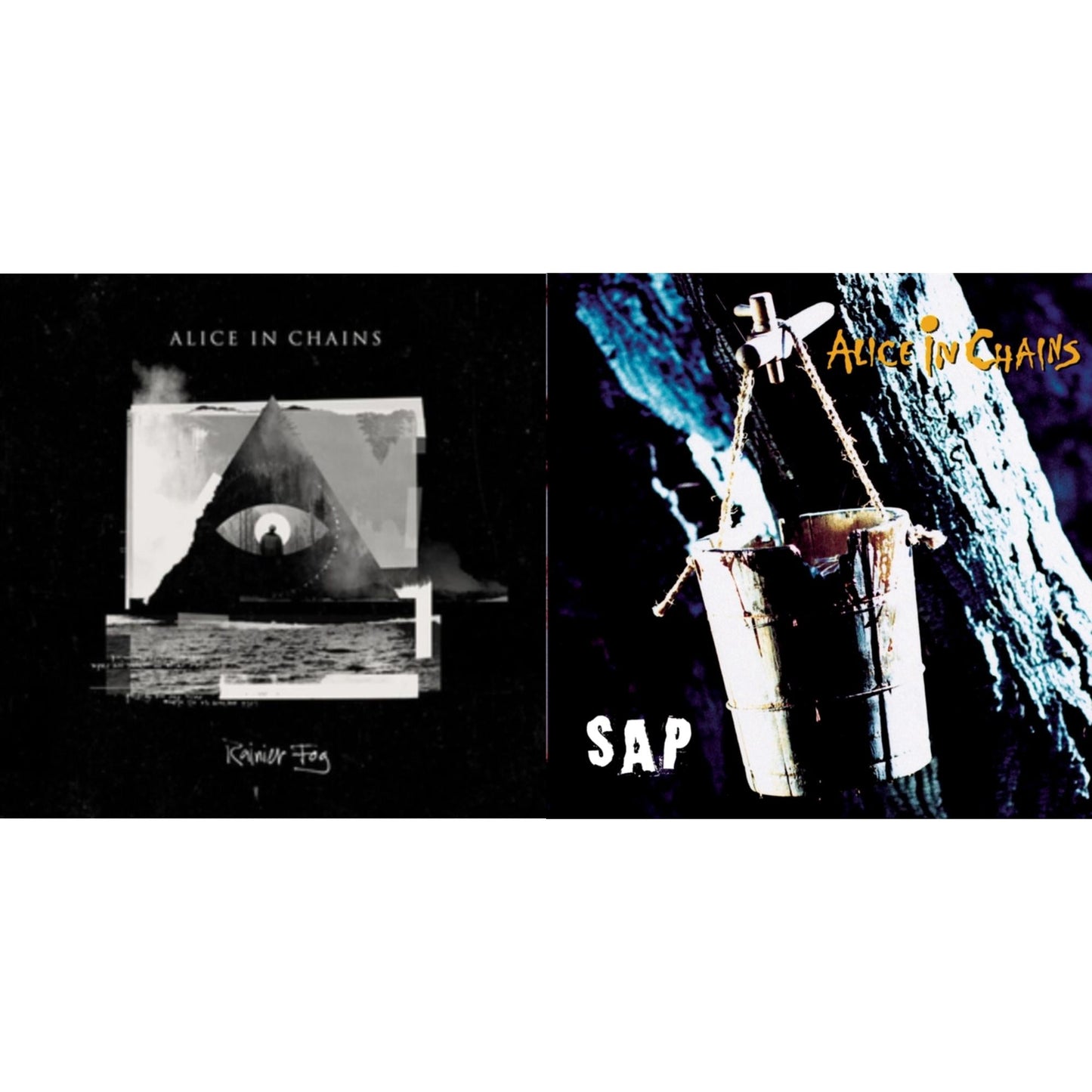 Rainier Fog & Sap