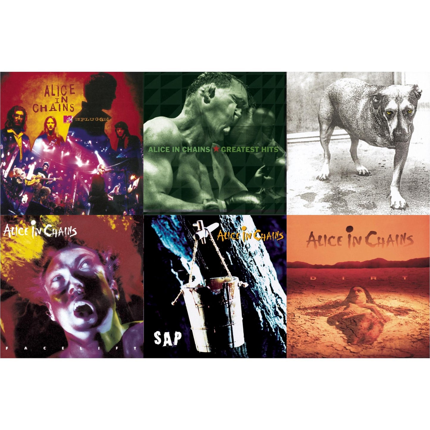 Dirt & Greatest Hits & Unplugged & Sap & Facelift & Alice In Chains