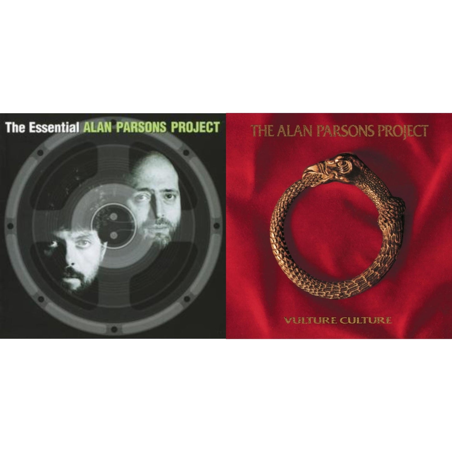 Essential Alan Parsons Project & Vulture Culture