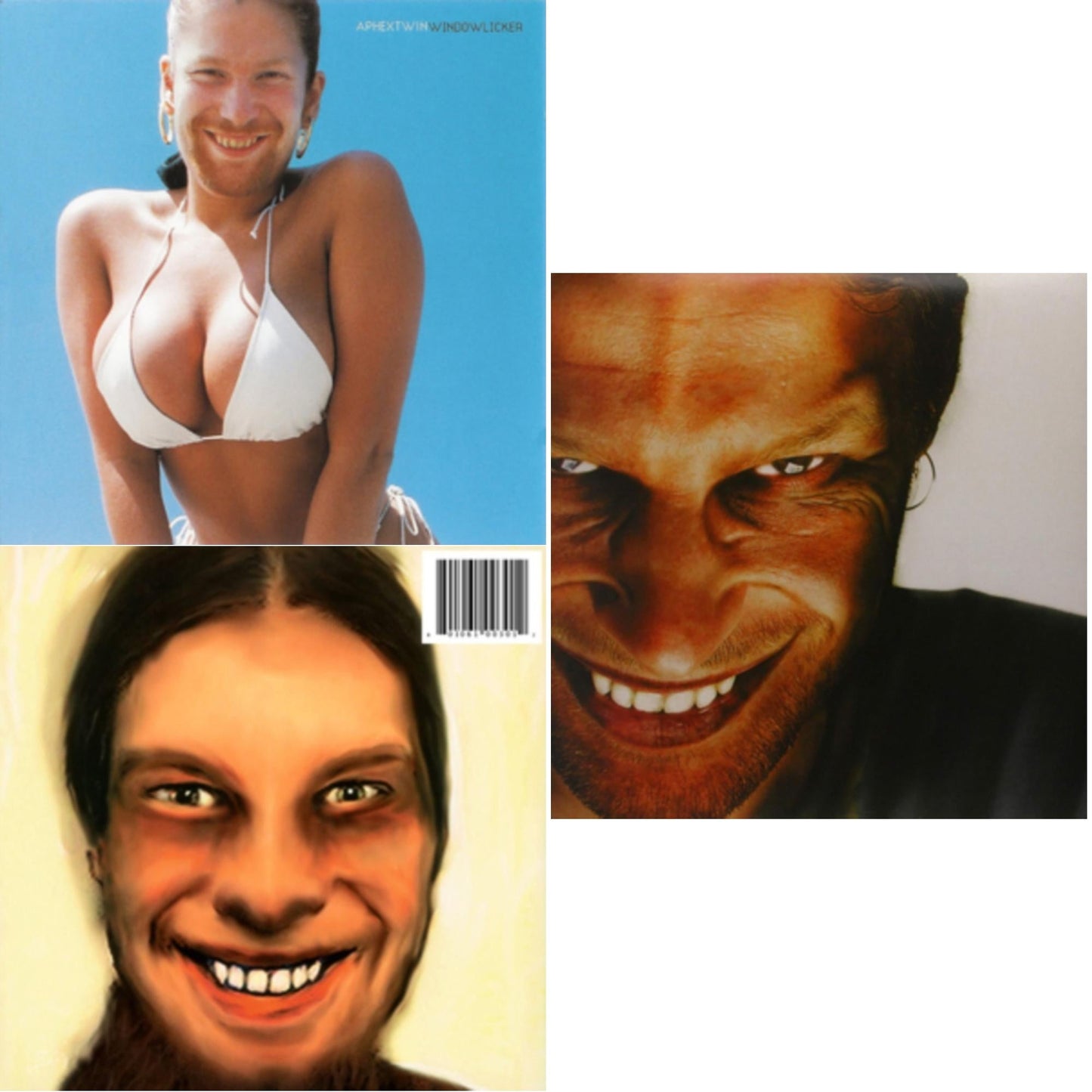 Windowlicker & I Care Because You Do & Richard D. James Album