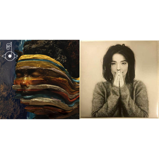 Bjork - Debut & Bastards: Remix - LP Vinyl Bundle