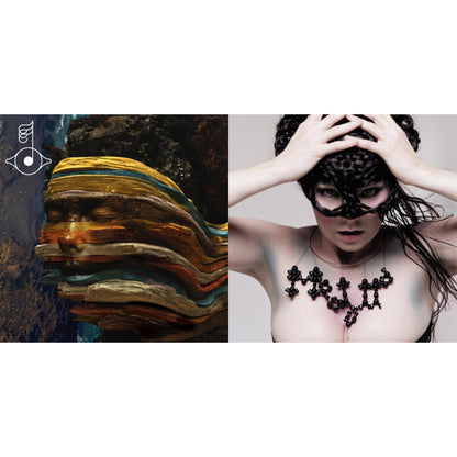 Bjork - Medulla & Bastards: Remix - LP Vinyl Bundle