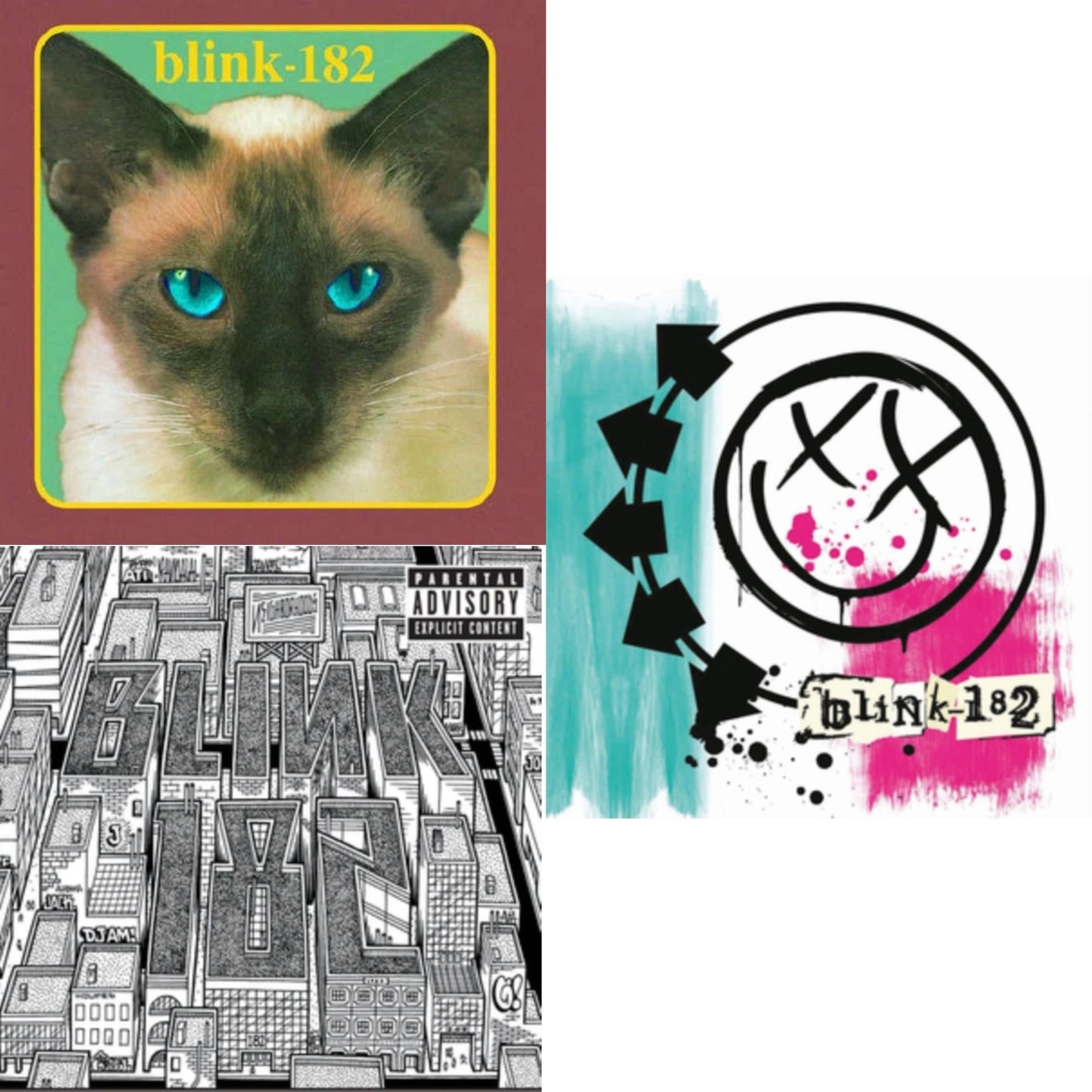 Cheshire Cat & Blink-182 & Neighborhoods