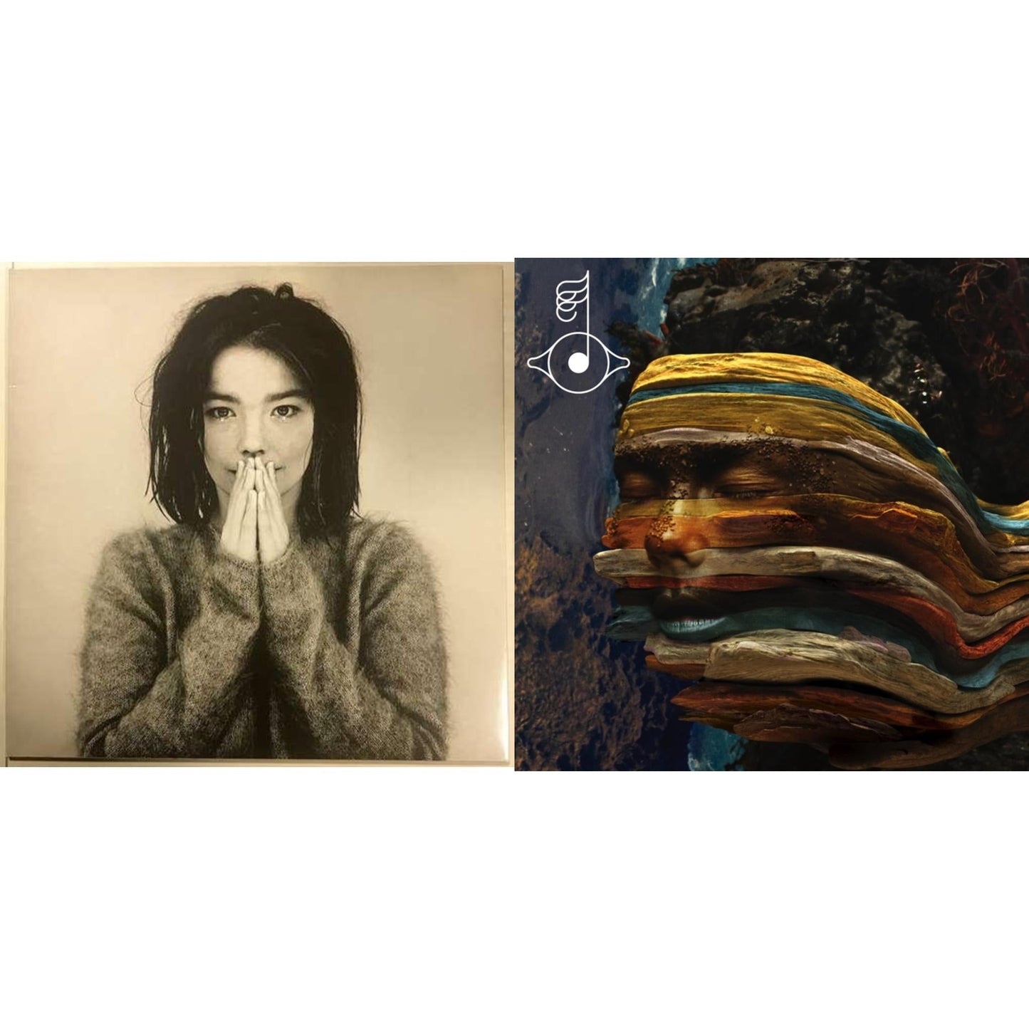 Debut & Bastards: Remix