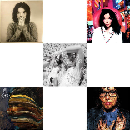 This is a 5 LP Vinyl SKU bundle.
1.This LP Vinyl is brand new.Format: LP VinylThis item's title is: DebutArtist: BjorkBarcode: 5016958018818Release Date: 12/11/2015
2.This LP Vinyl is brand new.