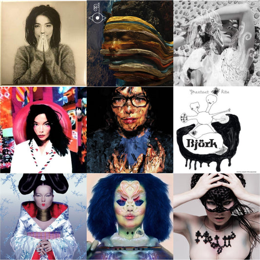 This is a 9 LP Vinyl SKU bundle.
1.This LP Vinyl is brand new.Format: LP VinylThis item's title is: DebutArtist: BjorkBarcode: 5016958018818Release Date: 12/11/2015
2.This LP Vinyl is brand new.