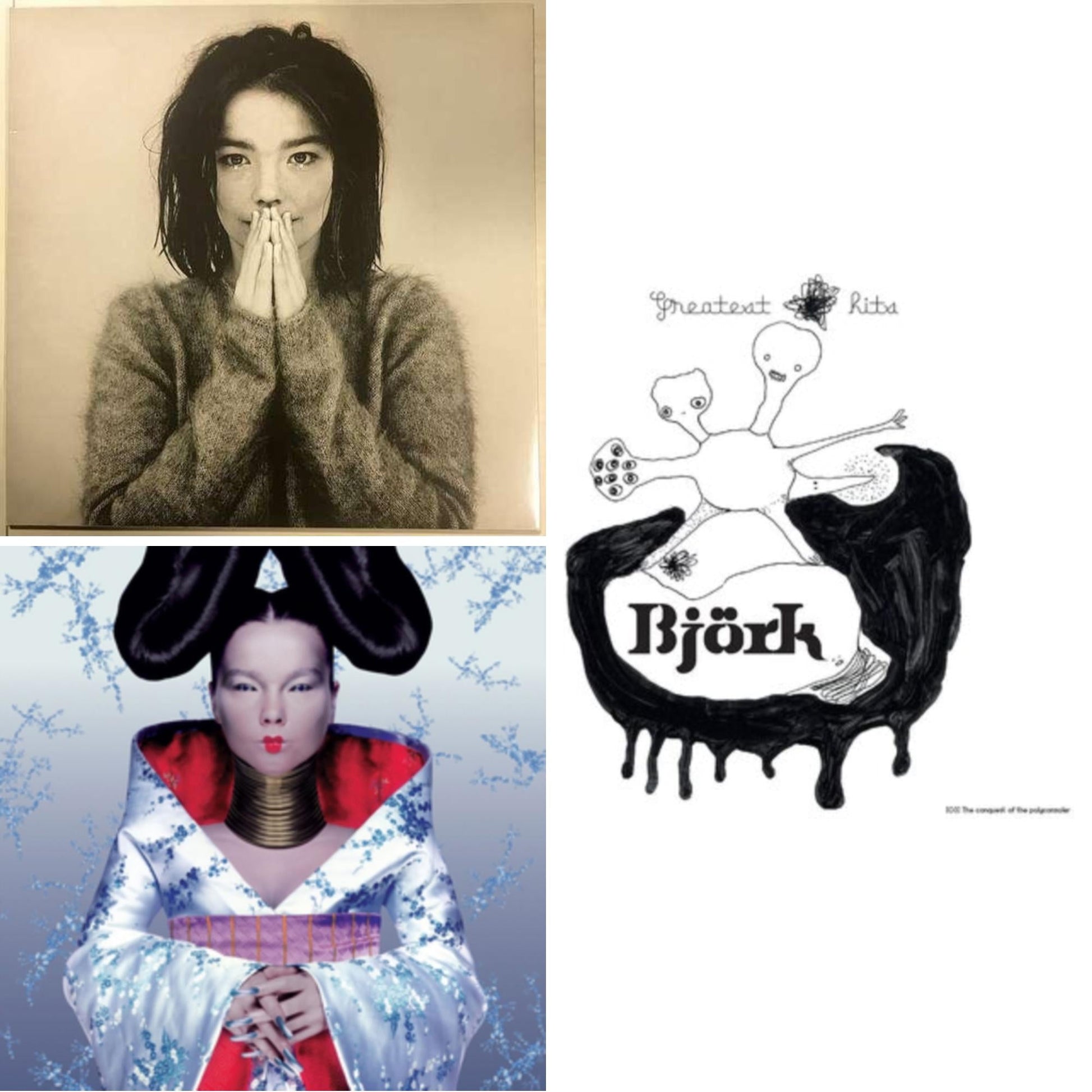 This is a 3 LP Vinyl SKU bundle.
1.This LP Vinyl is brand new.Format: LP VinylThis item's title is: DebutArtist: BjorkBarcode: 5016958018818Release Date: 12/11/2015
2.This LP Vinyl is brand new.