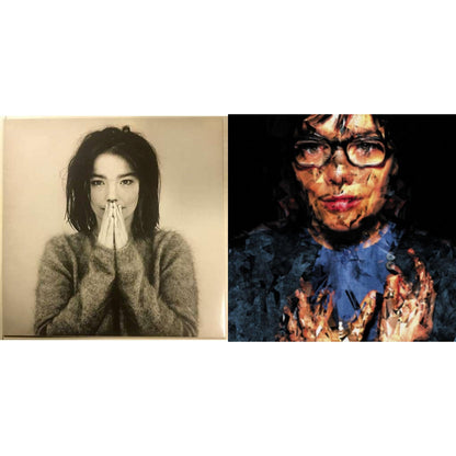 This is a 2 LP Vinyl SKU bundle.
1.This LP Vinyl is brand new.Format: LP VinylThis item's title is: DebutArtist: BjorkBarcode: 5016958018818Release Date: 12/11/2015
2.This LP Vinyl is brand new.