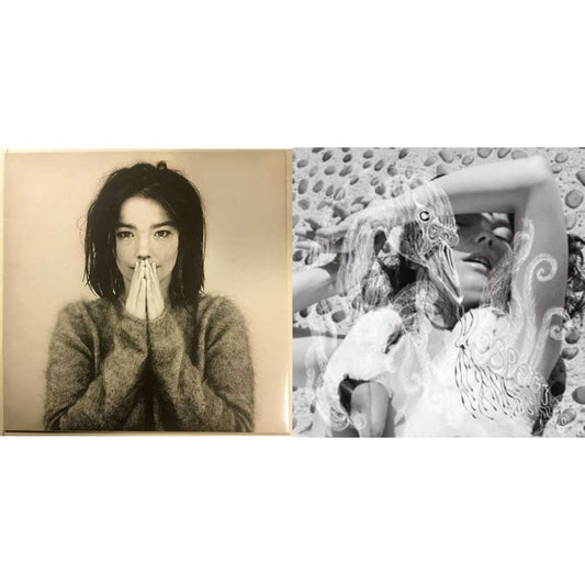 This is a 2 LP Vinyl SKU bundle.
1.This LP Vinyl is brand new.Format: LP VinylThis item's title is: DebutArtist: BjorkBarcode: 5016958018818Release Date: 12/11/2015
2.This LP Vinyl is brand new.