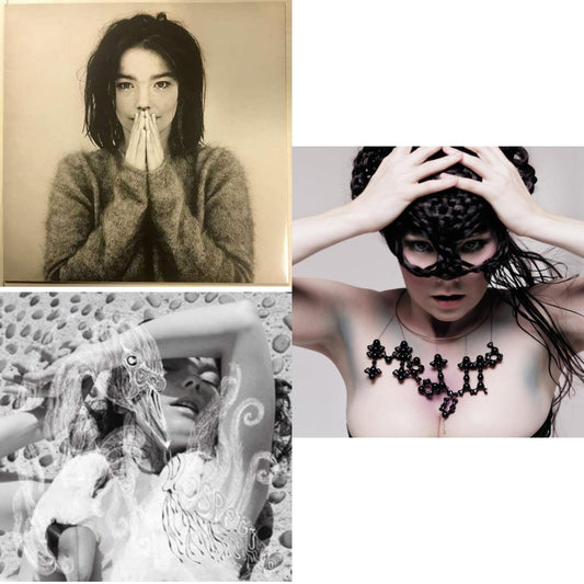 This is a 3 LP Vinyl SKU bundle.
1.This LP Vinyl is brand new.Format: LP VinylMusic Style: LeftfieldThis item's title is: DebutArtist: BjorkLabel: One Little IndianBarcode: 5016958018818Release Date: 12/11/2015
2.This LP Vinyl is brand new.