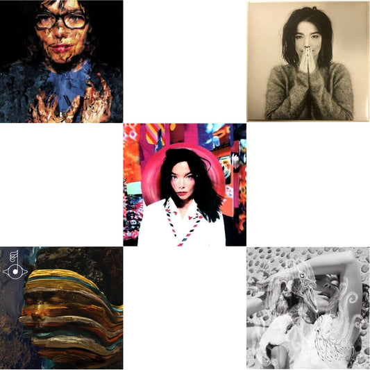 Bjork - Debut & Post & Vespertine & Selma Songs & Bastards: Remix - LP Vinyl Bundle