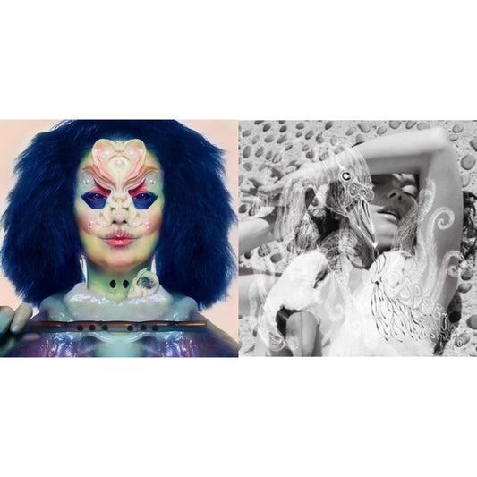 This is a 2 LP Vinyl SKU bundle.
1.This LP Vinyl is brand new.Format: LP VinylMusic Style: Dream PopThis item's title is: VespertineArtist: BjorkBarcode: 5016958046019Release Date: 12/11/2015
2.This LP Vinyl is brand new.