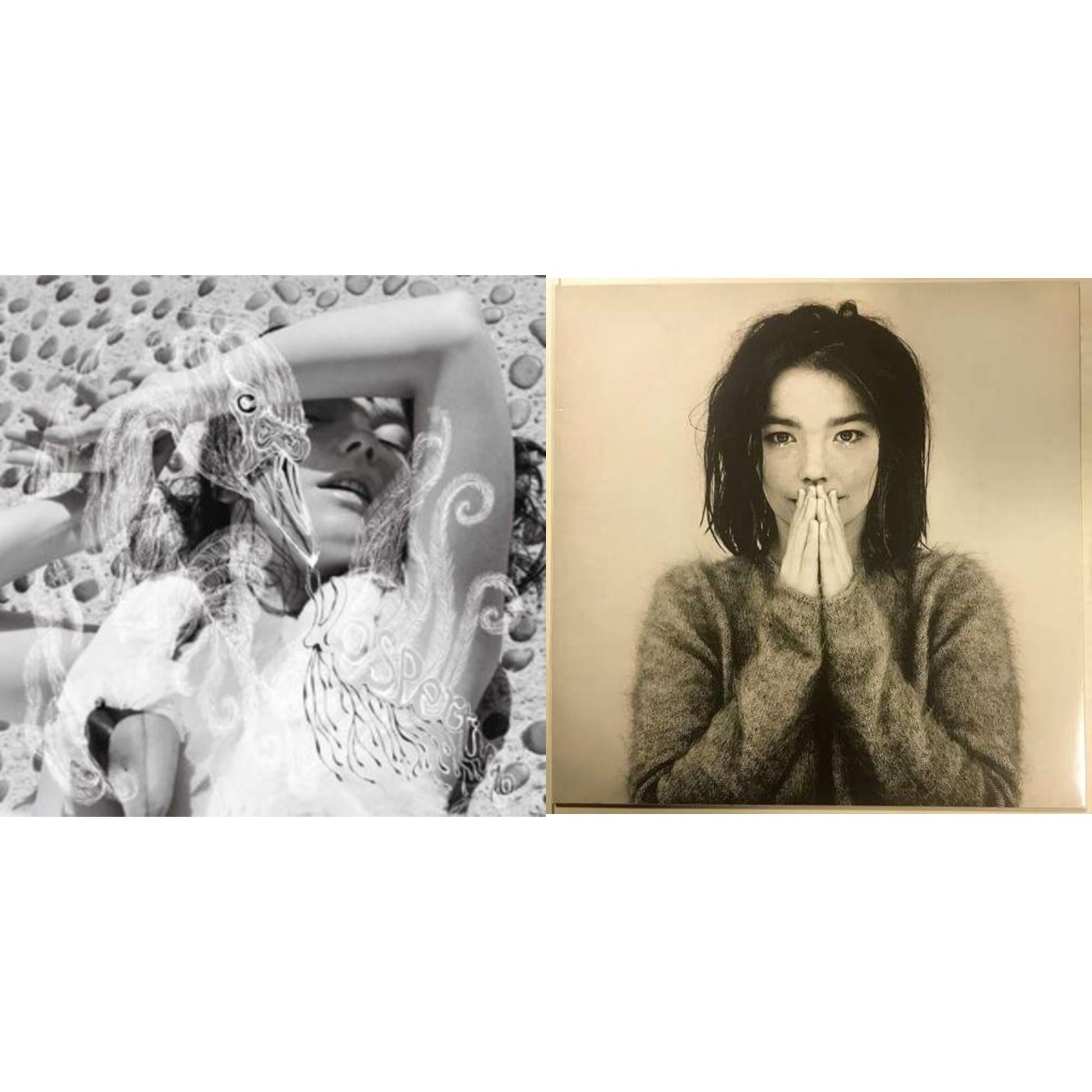 This is a 2 LP Vinyl SKU bundle.
1.This LP Vinyl is brand new.Format: LP VinylMusic Style: Dream PopThis item's title is: VespertineArtist: BjorkBarcode: 5016958046019Release Date: 12/11/2015
2.This LP Vinyl is brand new.
