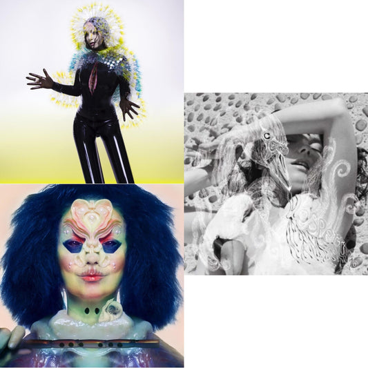 This is a 3 LP Vinyl SKU bundle.
1.This LP Vinyl is brand new.Format: LP VinylThis item's title is: VulnicuraArtist: BjorkBarcode: 5016958998585Release Date: 4/21/2015
2.This LP Vinyl is brand new.