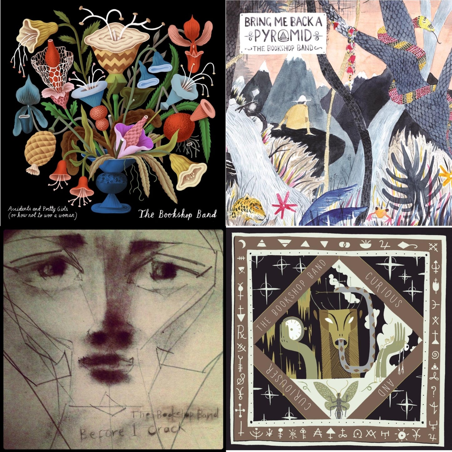 Accidents & Pretty Girls & Bring Me Back A Pyramid & Before I Crack & Curious & Curiouser