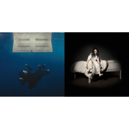 Hit Me Hard & Soft & When We All Fall Asleep, Where Do We Go?