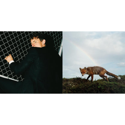 The Mirror (Clear LP Vinyl) & Buck Meek (Dl Code)