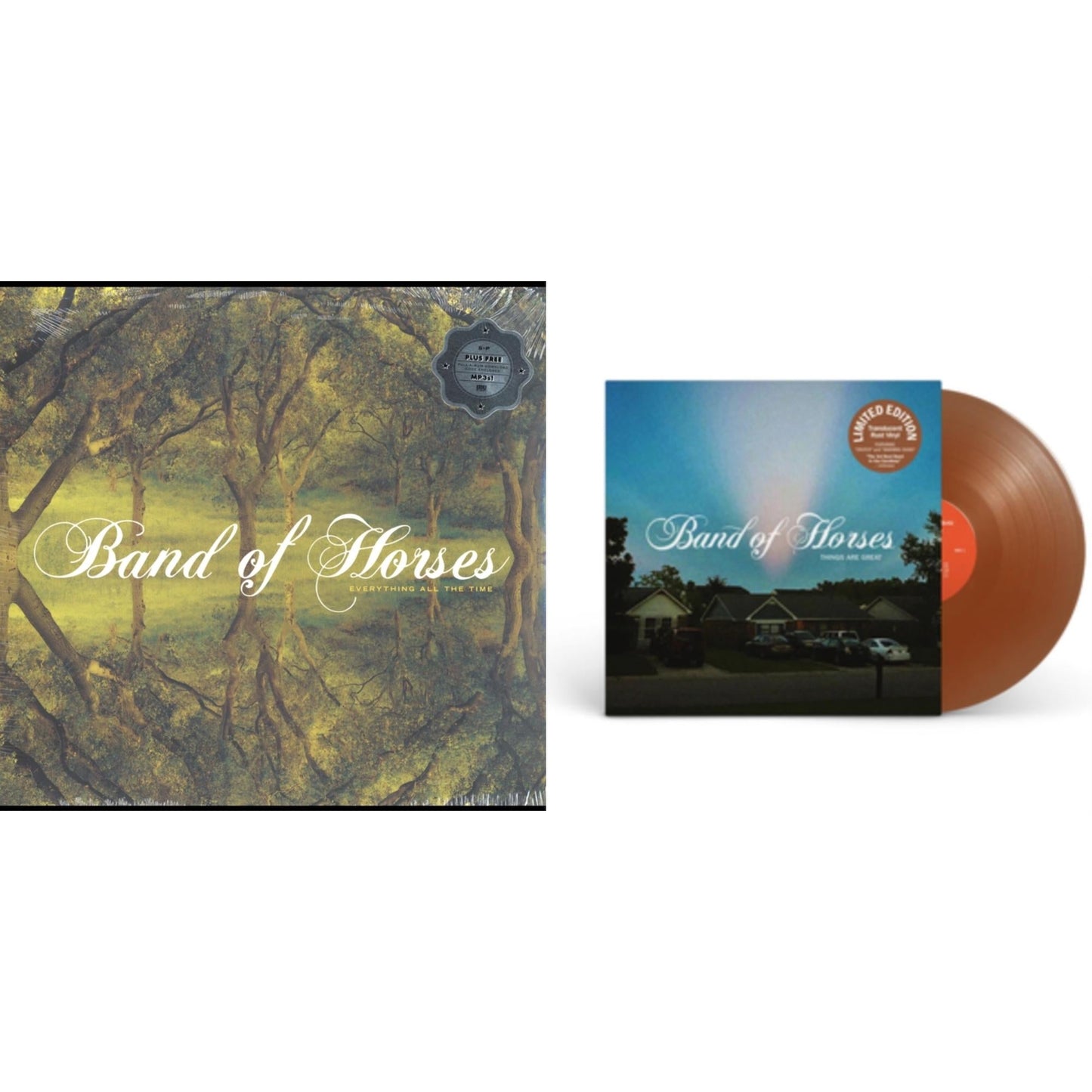Everything All The Time & Things Are Great (X) (Translucent Rust LP Vinyl) (I)