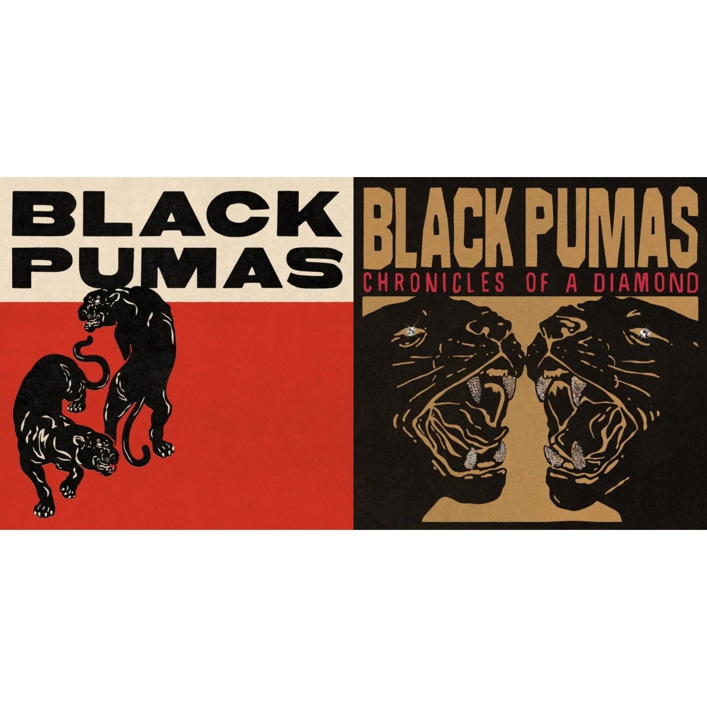 Black Pumas (Deluxe/Gold & Red/Black Marble Vinyl/2LP) & Chronicles Of A Diamond (Clear LP Vinyl)
