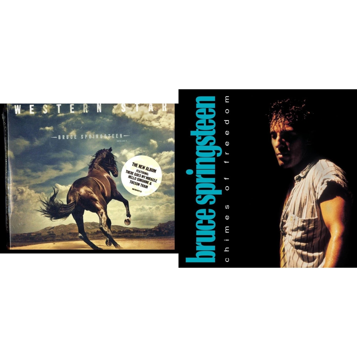 Western Stars & Chimes Of Freedom