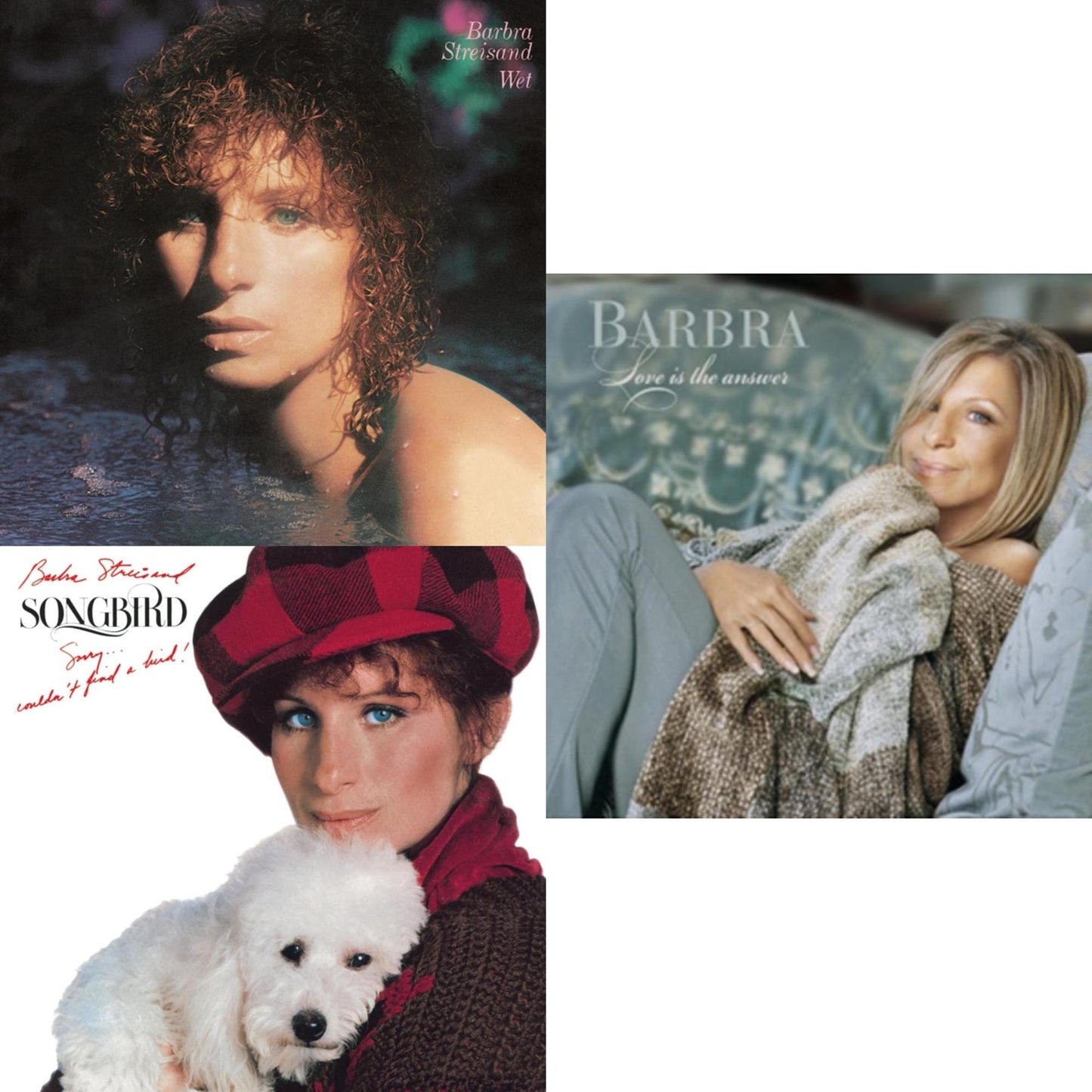 Wet & Songbird & Love Is The Answer