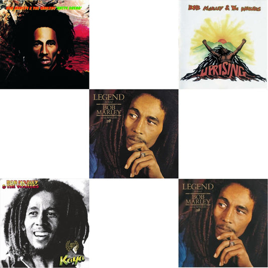 This is a 5 LP Vinyl SKU bundle.
1.This LP Vinyl is brand new.Format: LP VinylMusic Style: ReggaeThis item's title is: Natty Dread (180G)Artist: Bob & The Wailers MarleyLabel: ISLANDBarcode: 600753600665Release Date: 9/25/2015
2.This LP Vinyl is brand new.