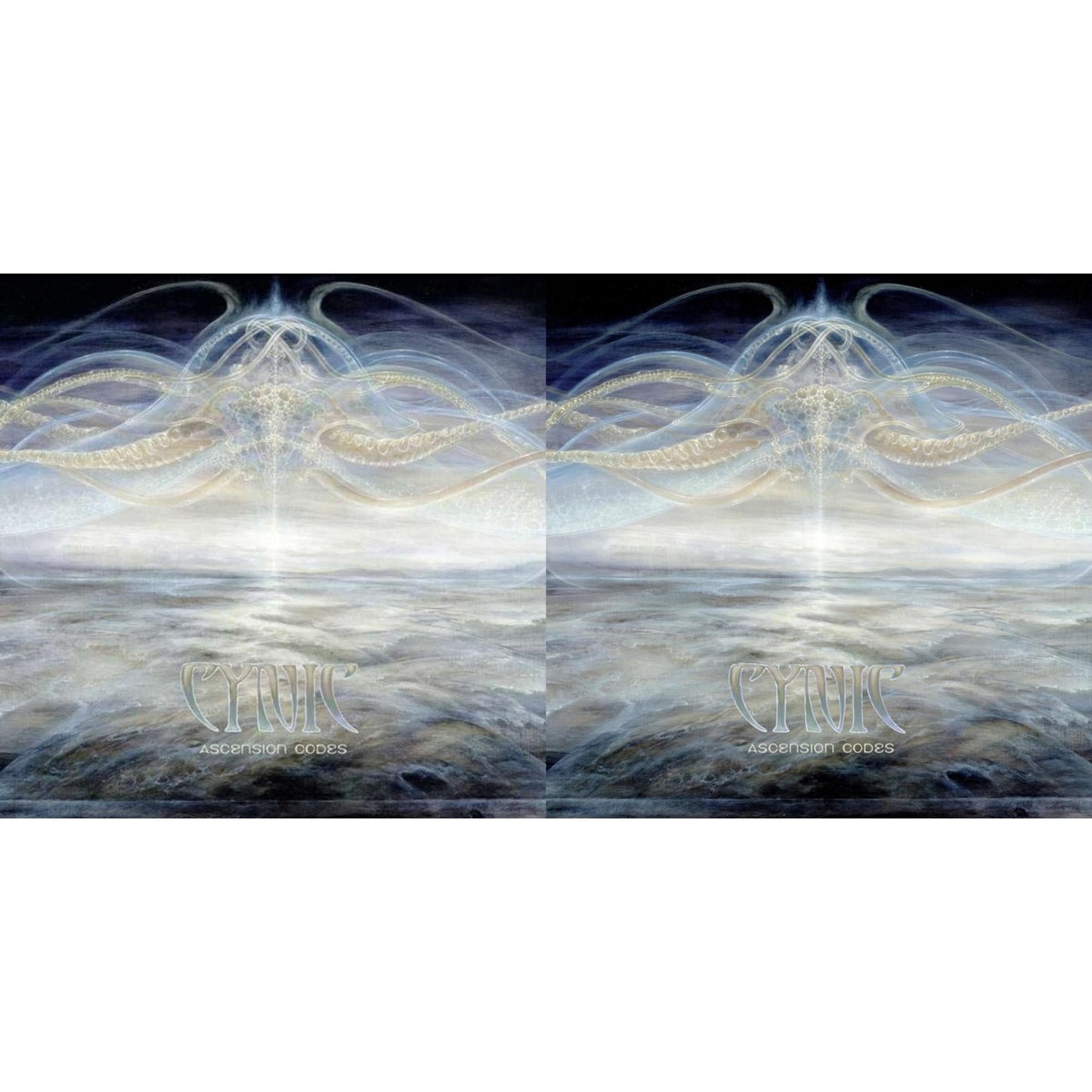 Ascension Codes (2LP) & Ascension Codes (Gold Vinyl/2LP)