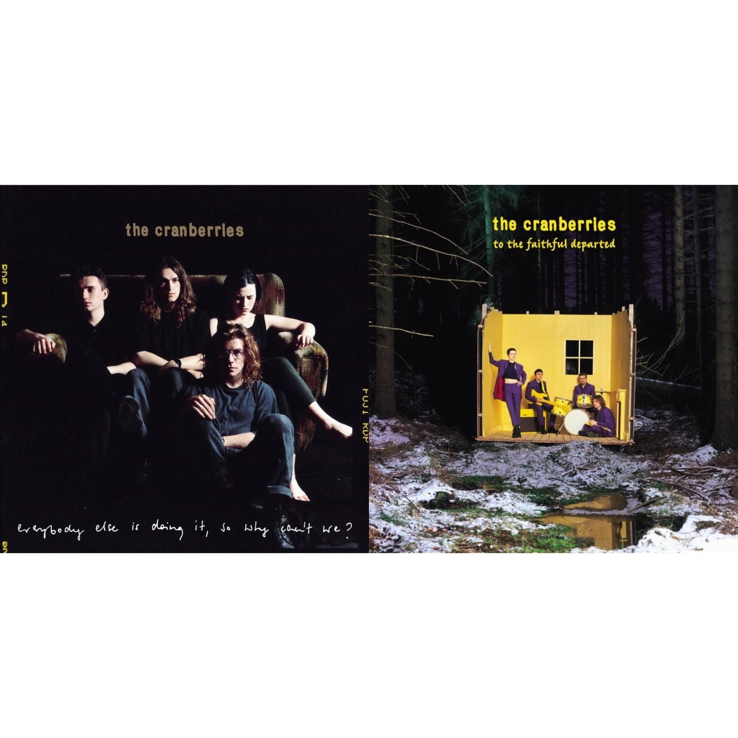 To The Faithful Departed & Everybody Else Is Doing It So Why Can't We (LP)