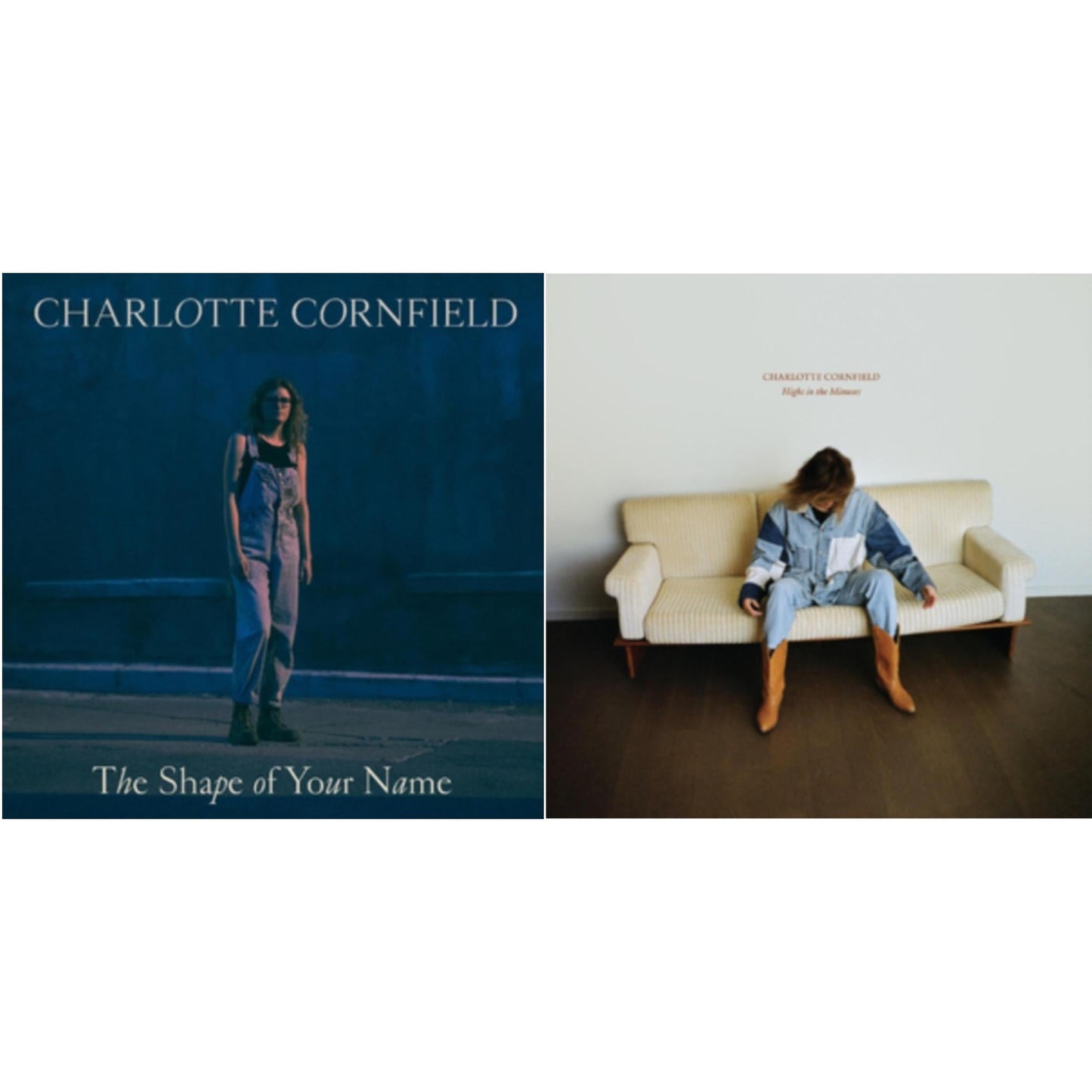 Shape Of Your Name (Deluxe Reissue/Blue LP Vinyl) & Highs In The Minuses (Blue LP Vinyl/Dl Card)