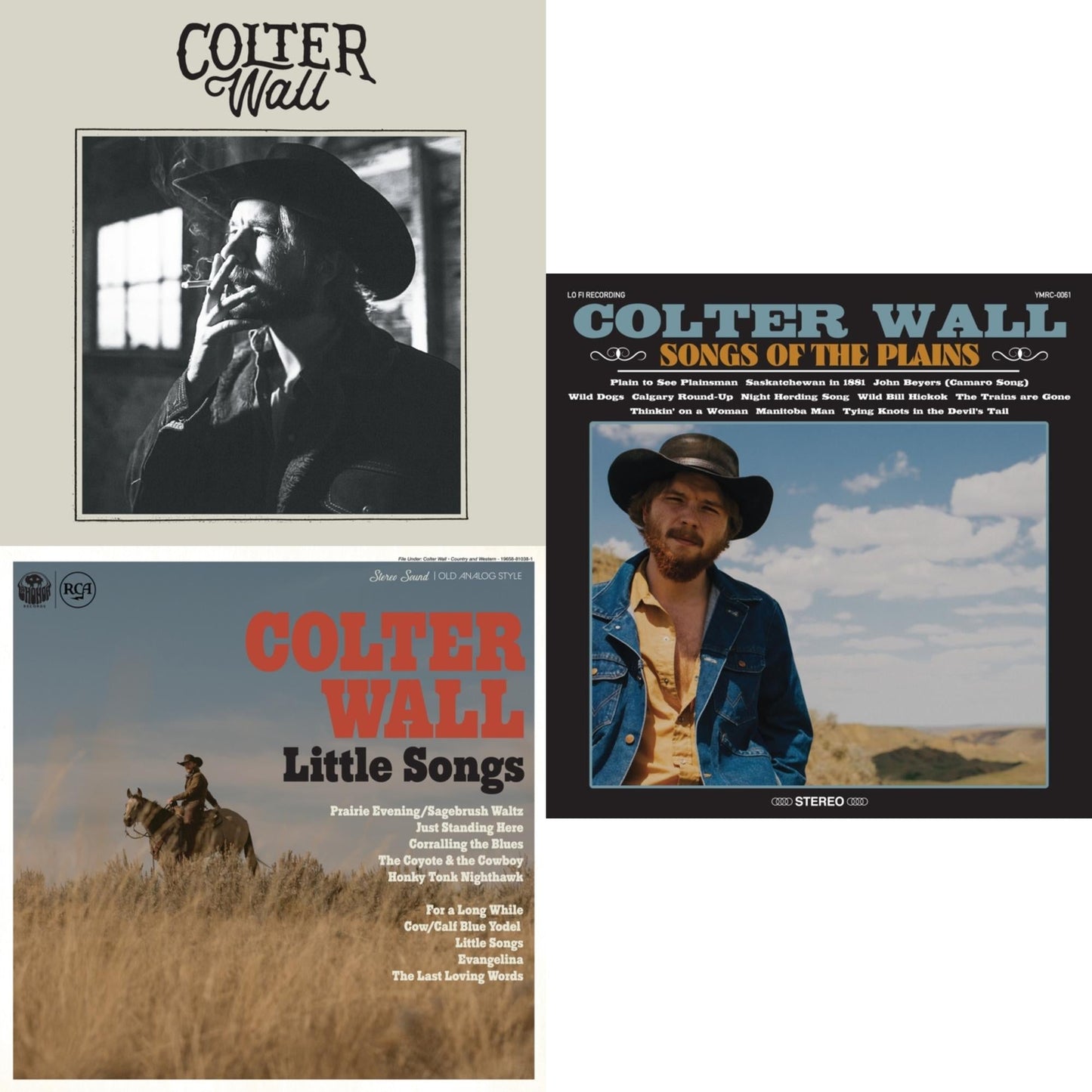 This is a 3 LP Vinyl SKU bundle.
1.This LP Vinyl is brand new.Format: LP VinylThis item's title is: Colter Wall (Red LP Vinyl)Artist: Colter WallBarcode: 196588300219Release Date: 1/19/2024
2.This LP Vinyl is brand new.
