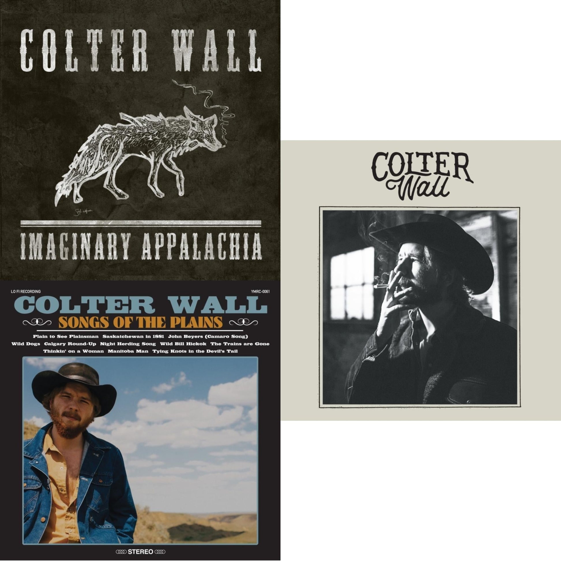 This is a 3 LP Vinyl SKU bundle.
1.This LP Vinyl is brand new.Format: LP VinylThis item's title is: Imaginary Appalachia (Red LP Vinyl)Artist: Colter WallBarcode: 196588300110Release Date: 1/19/2024
2.This LP Vinyl is brand new.