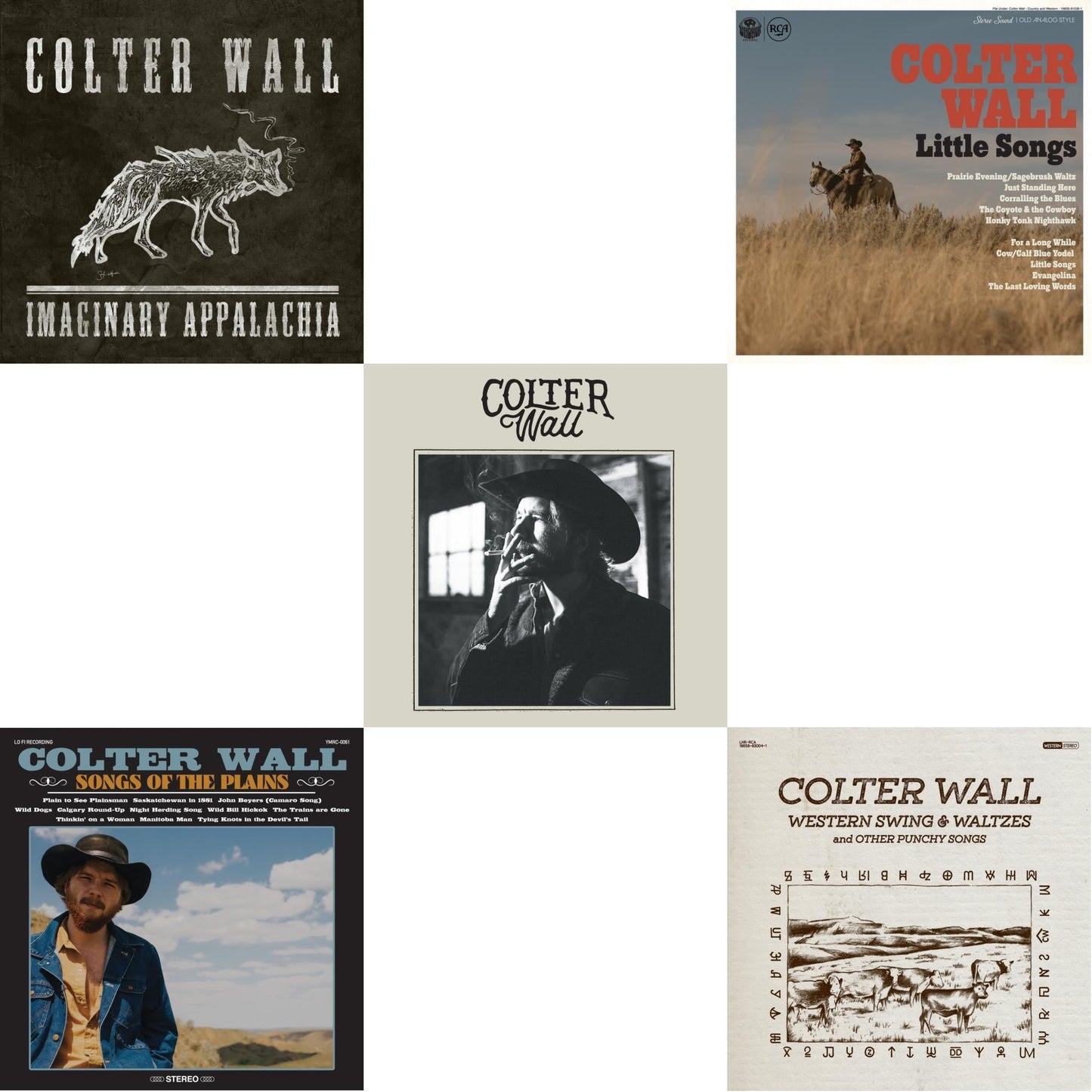 This is a 5 LP Vinyl SKU bundle.
1.This LP Vinyl is brand new.Format: LP VinylThis item's title is: Imaginary Appalachia (Red LP Vinyl)Artist: Colter WallBarcode: 196588300110Release Date: 1/19/2024
2.This LP Vinyl is brand new.