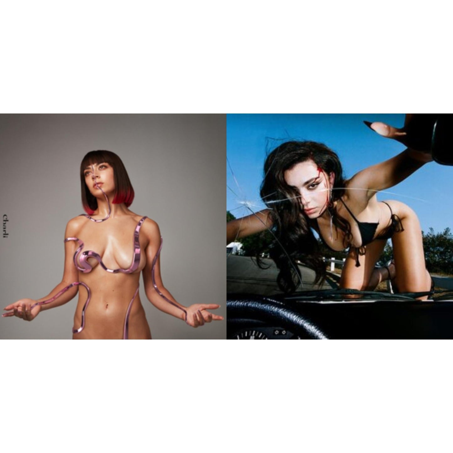 This is a 2 LP Vinyl SKU bundle.
1.This LP Vinyl is brand new.Format: LP VinylMusic Style: Pop RockThis item's title is: Charli Charli (2LP)Artist: Charli XcxLabel: ATLANTICBarcode: 190295409579Release Date: 10/4/2019
2.This LP Vinyl is brand new.