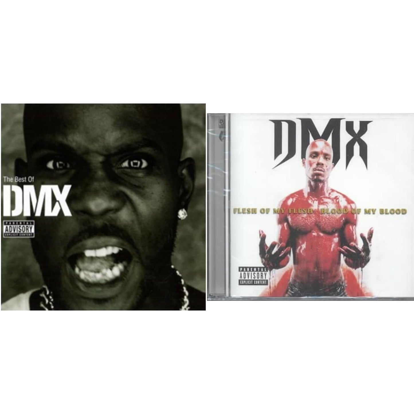Best Of Dmx & Flesh Of My Fleshblood Of My Blood