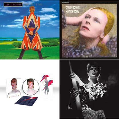 Earthling (2021 Remaster/2LP) & Aladdin Sane (2013 Remaster) (Picture Disc) & Rock N Roll Star & Hunky Dory