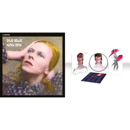 David Bowie - Aladdin Sane (2013 Remaster) (Picture Disc) & Hunky Dory - LP Vinyl Bundle