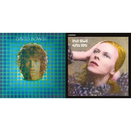 David Bowie Aka Space Oddity & Hunky Dory