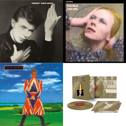 Earthling (2021 Remaster/2LP) & Heroes (2017 Remaster) & Hunky Dory (2015 Remaster/50Th Anniv/Picture Disc) & Ziggy Stardust & The Spiders From Mars Ost (50Th Anniversary/2LP)