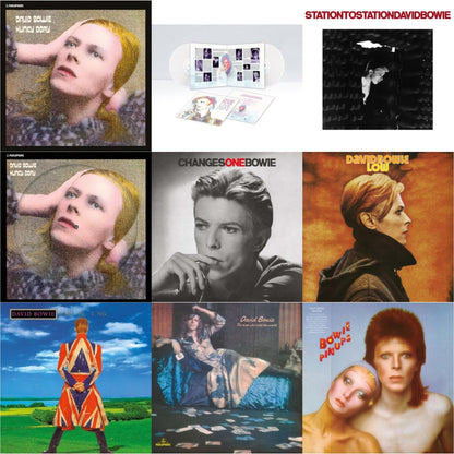 David Bowie - Earthling (2021 Remaster/2LP) & Low (2017 Remaster) & Station To Station (2016 Remastered Version) & Changesonebowie (180G) & Hunky Dory (2015 Remaster/50Th Anniv/Picture Disc) & Live Los Angeles 1974 (White LP Vinyl/Limited) & Pinups